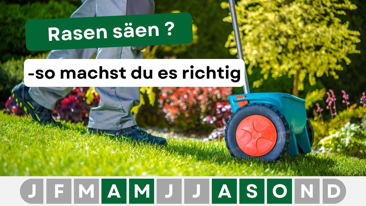 Rasen säen leicht gemacht: So gelingt dir eine perfekte Rasenfläche