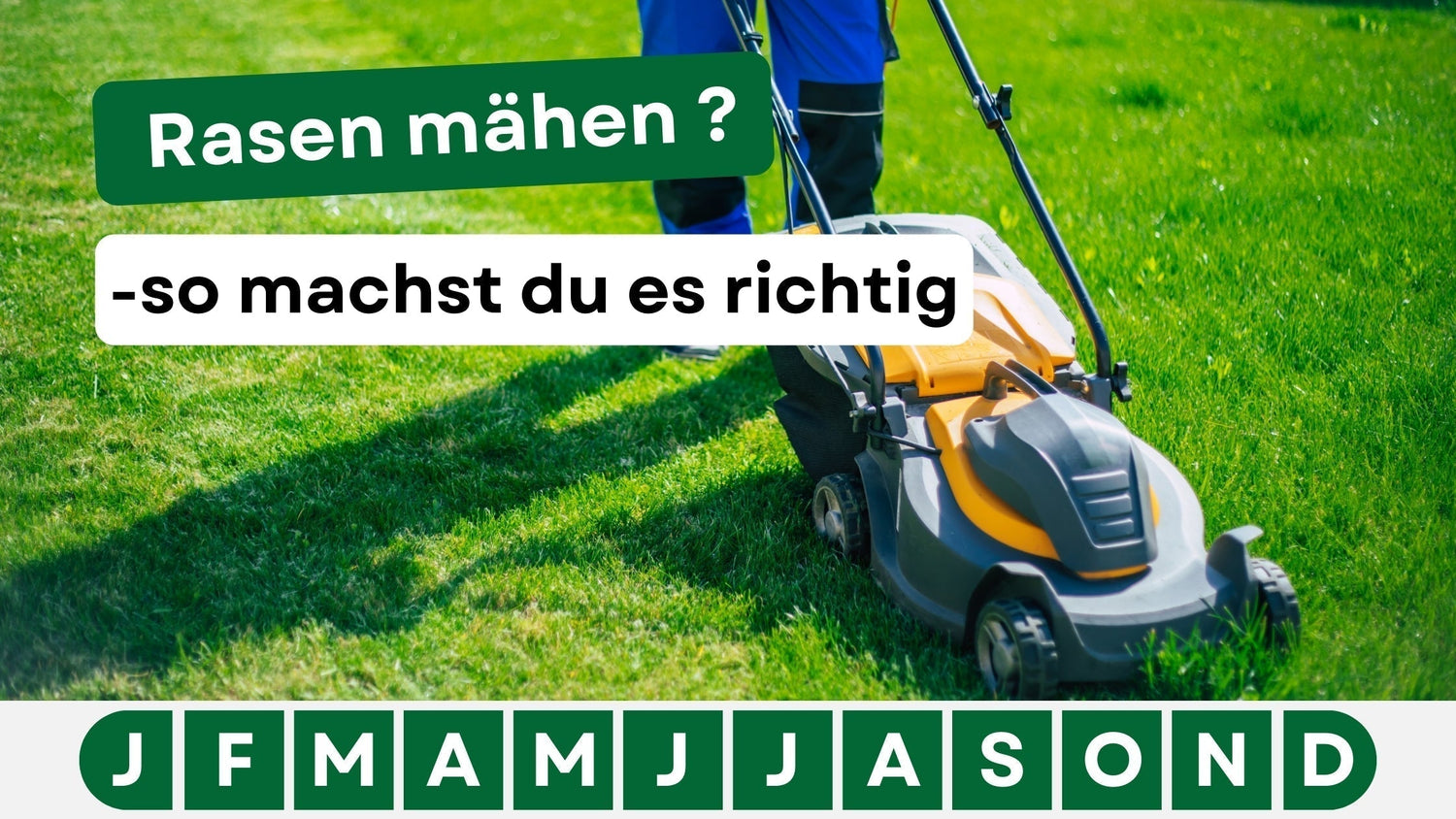 Rasen mähen leicht gemacht: So gelingt der perfekte Rasenschnitt