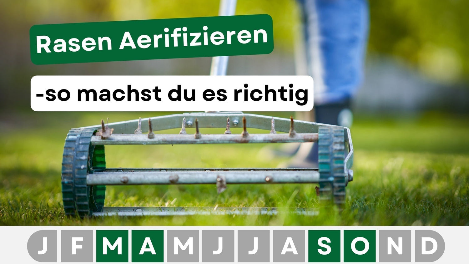 Rasen Lüften und Aerifizieren: Der Schlüssel zu einem gesunden und kräftigen Rasen