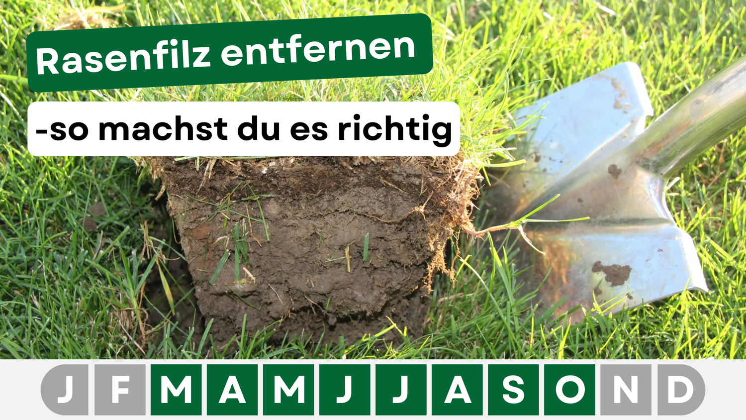 Rasenfilz entfernen: Die besten Methoden für einen gesunden Rasen