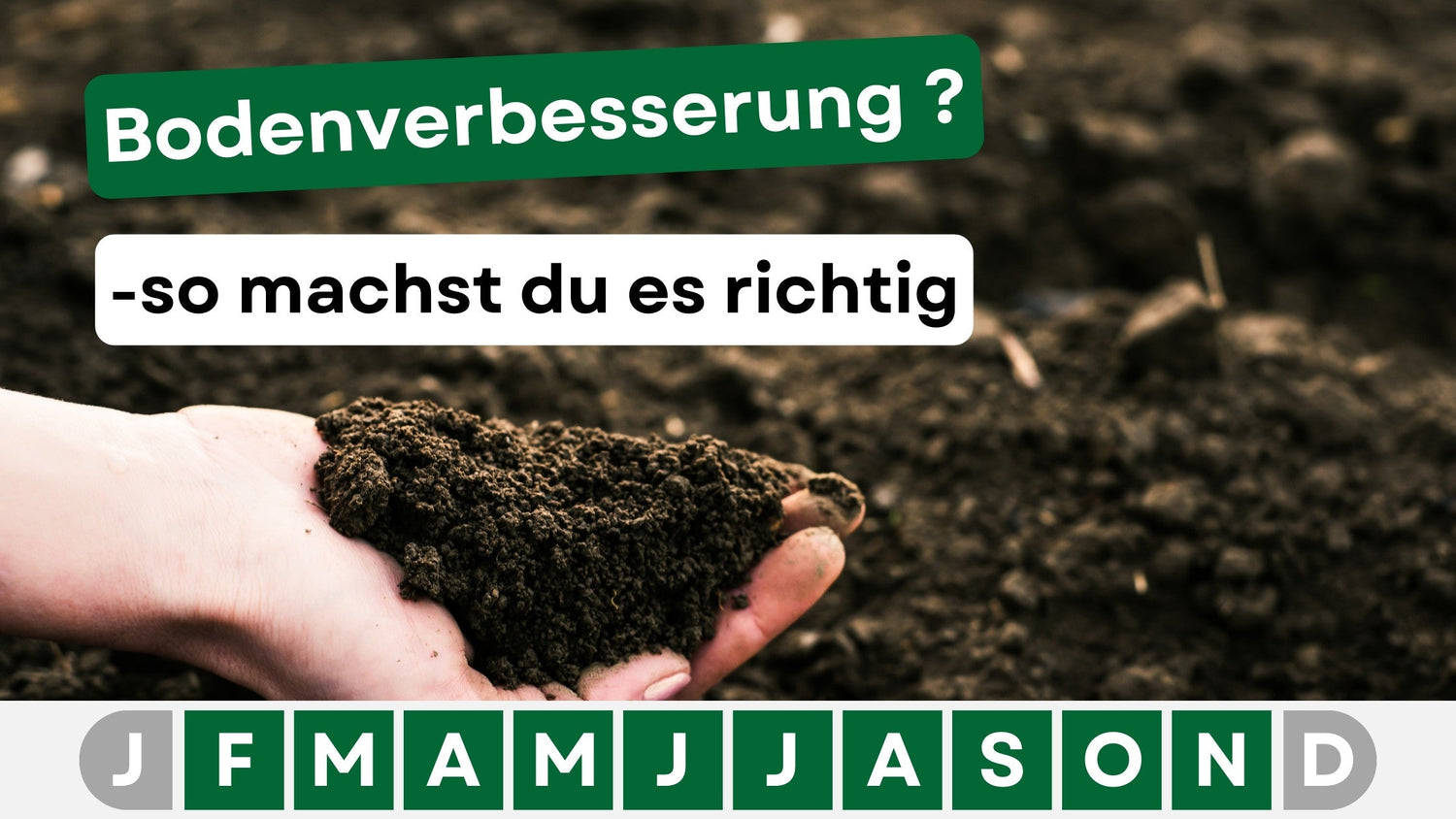 Bodenverbesserung für den Rasen – So gelingt es!