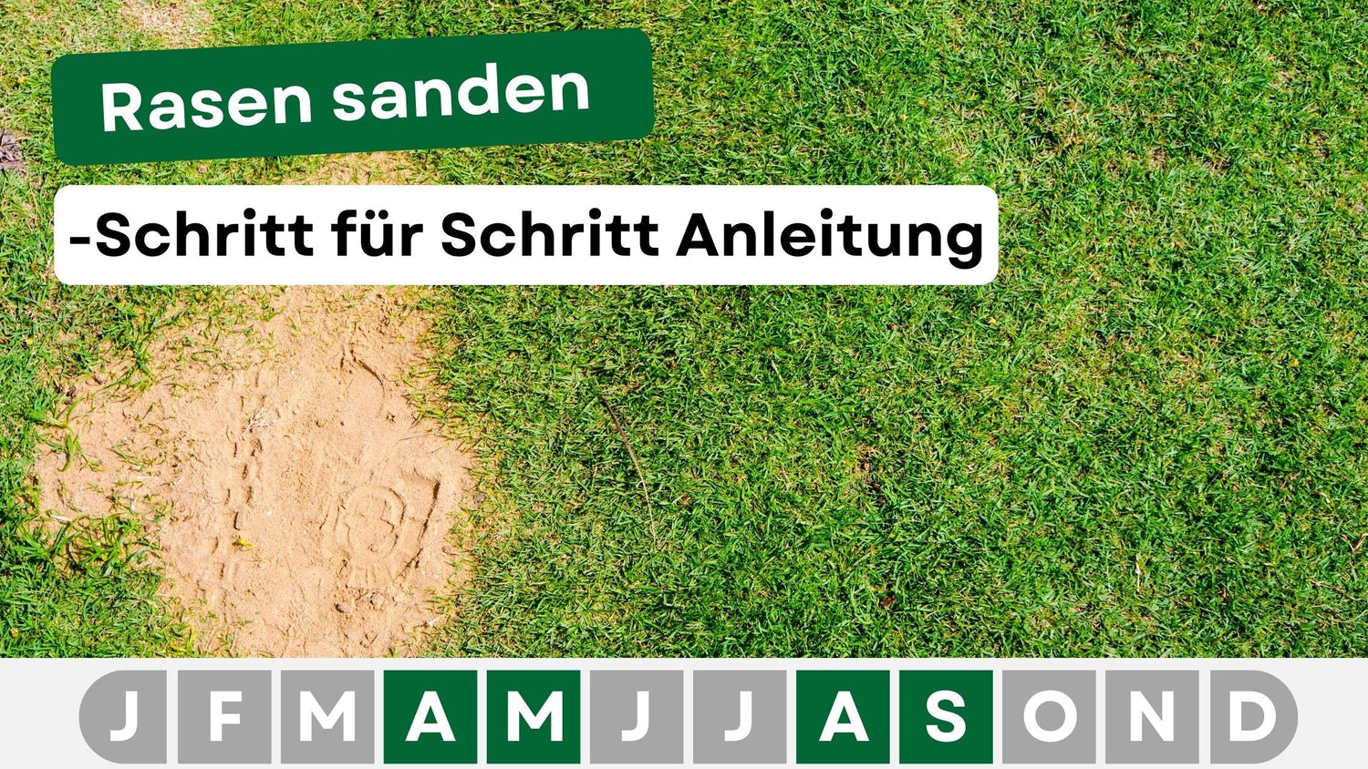 Rasen sanden richtig gemacht – Der ultimative Guide für einen gesunden Rasen