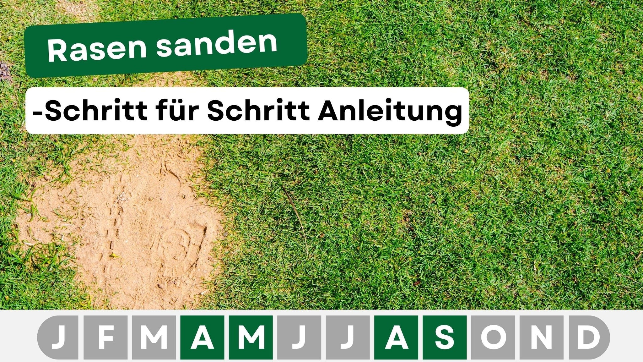 bester dünger aquarium Microbe-Lift Plants N Stickstoff Dünger für gesunde Pflanzen