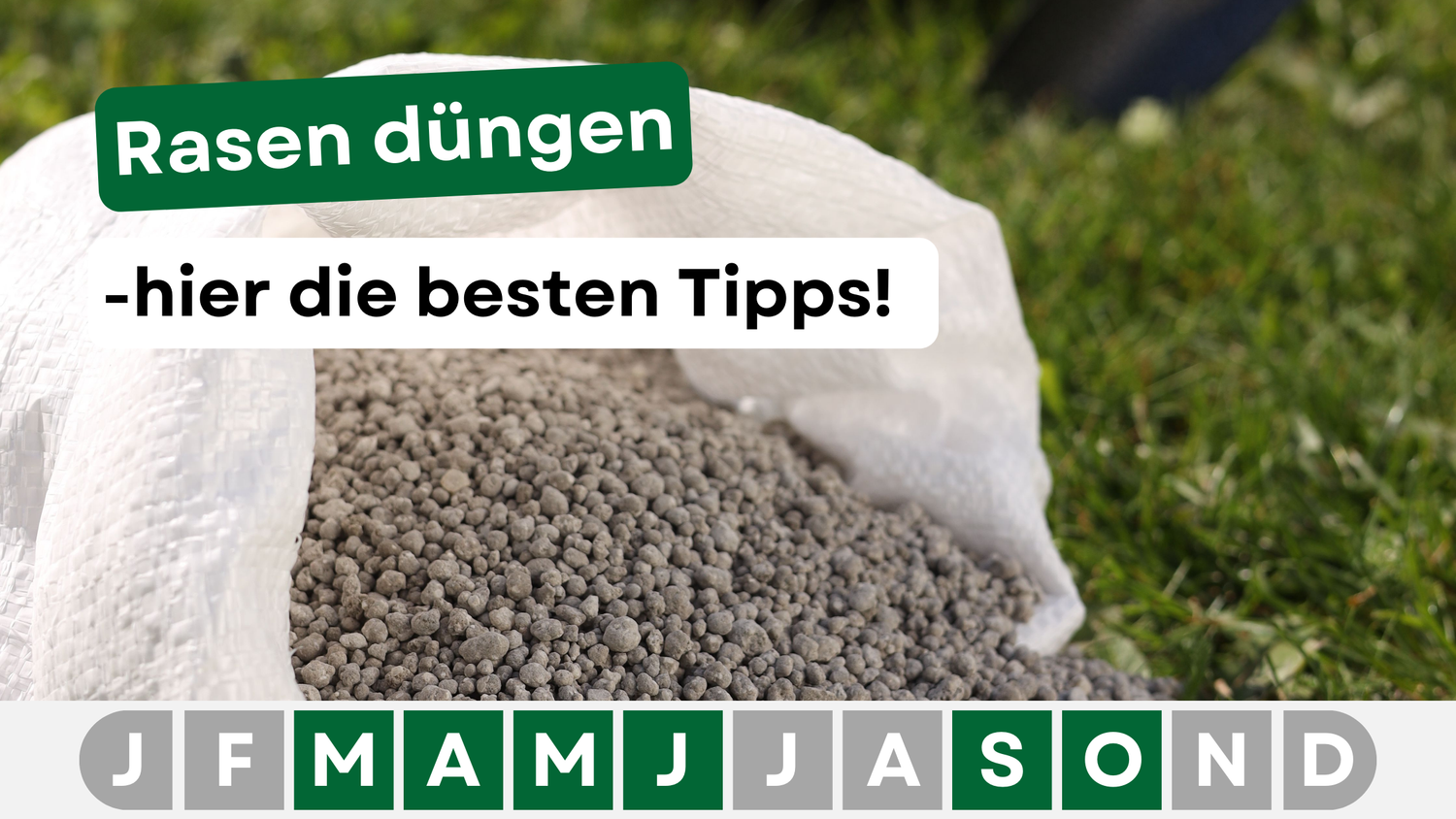 Rasen düngen leicht gemacht – Tipps für einen gesunden, sattgrünen Rasen