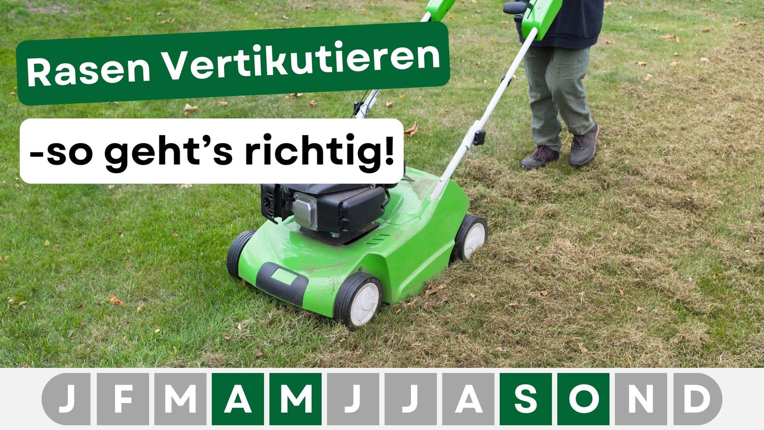 Rollrasen vs. herkömmlicher Rasen: Welche Methode ist die beste für Ihren Garten? - Greenyp Das Original