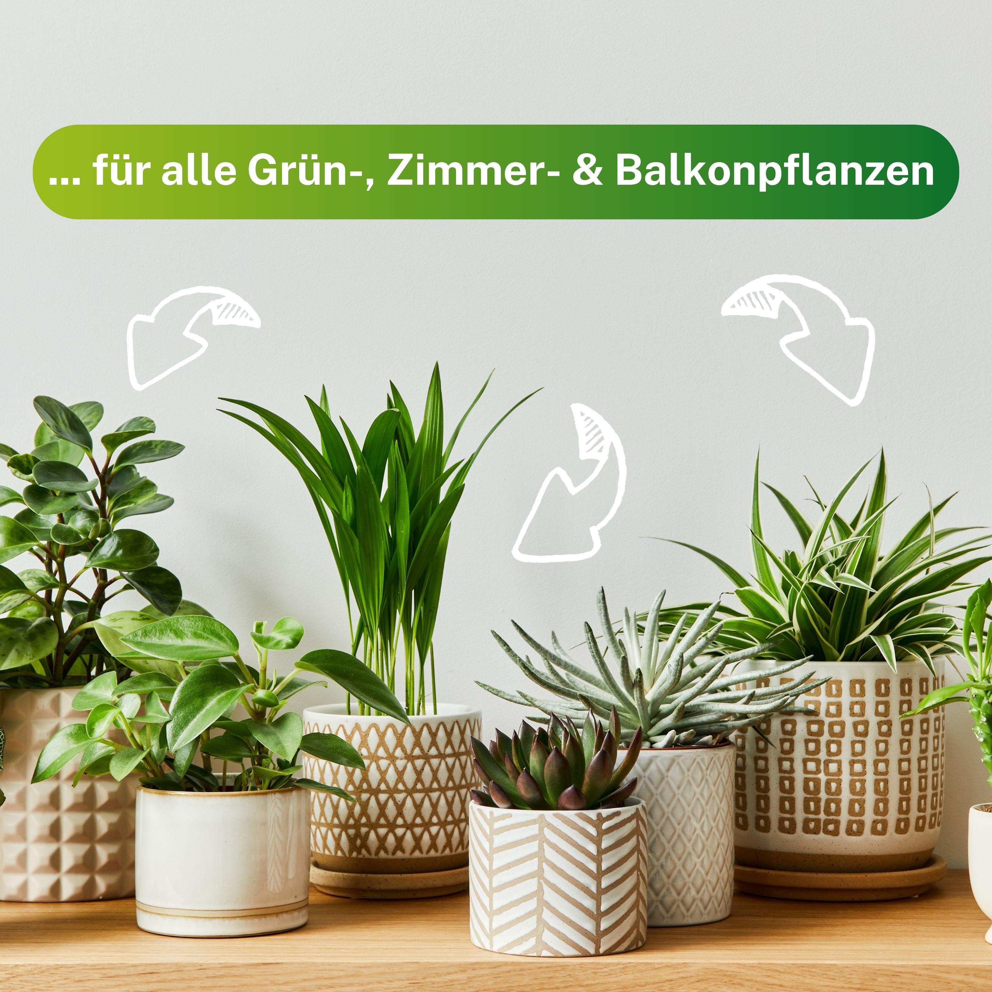 Grünpflanzen Düngestäbchen