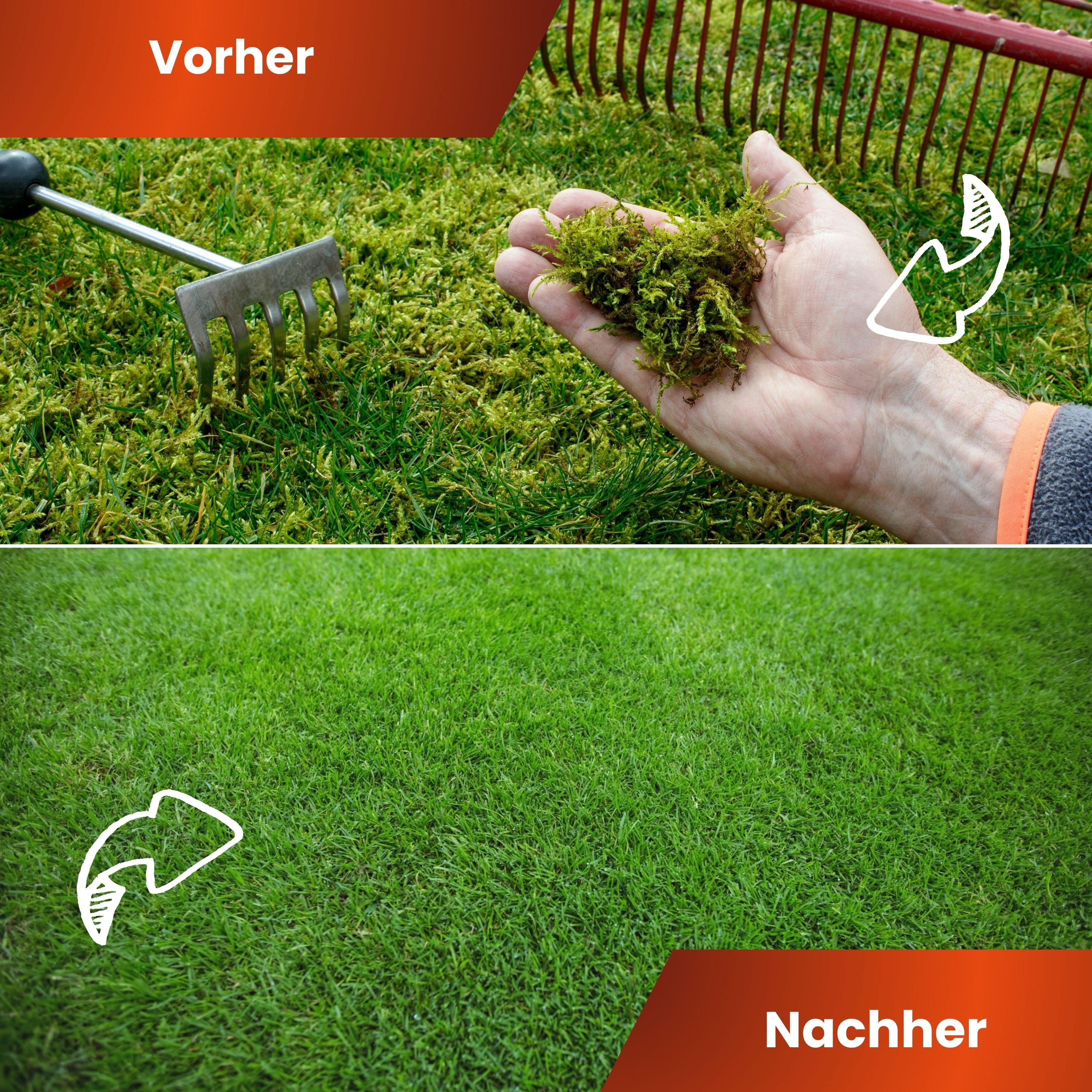Anti Moos Rasendünger