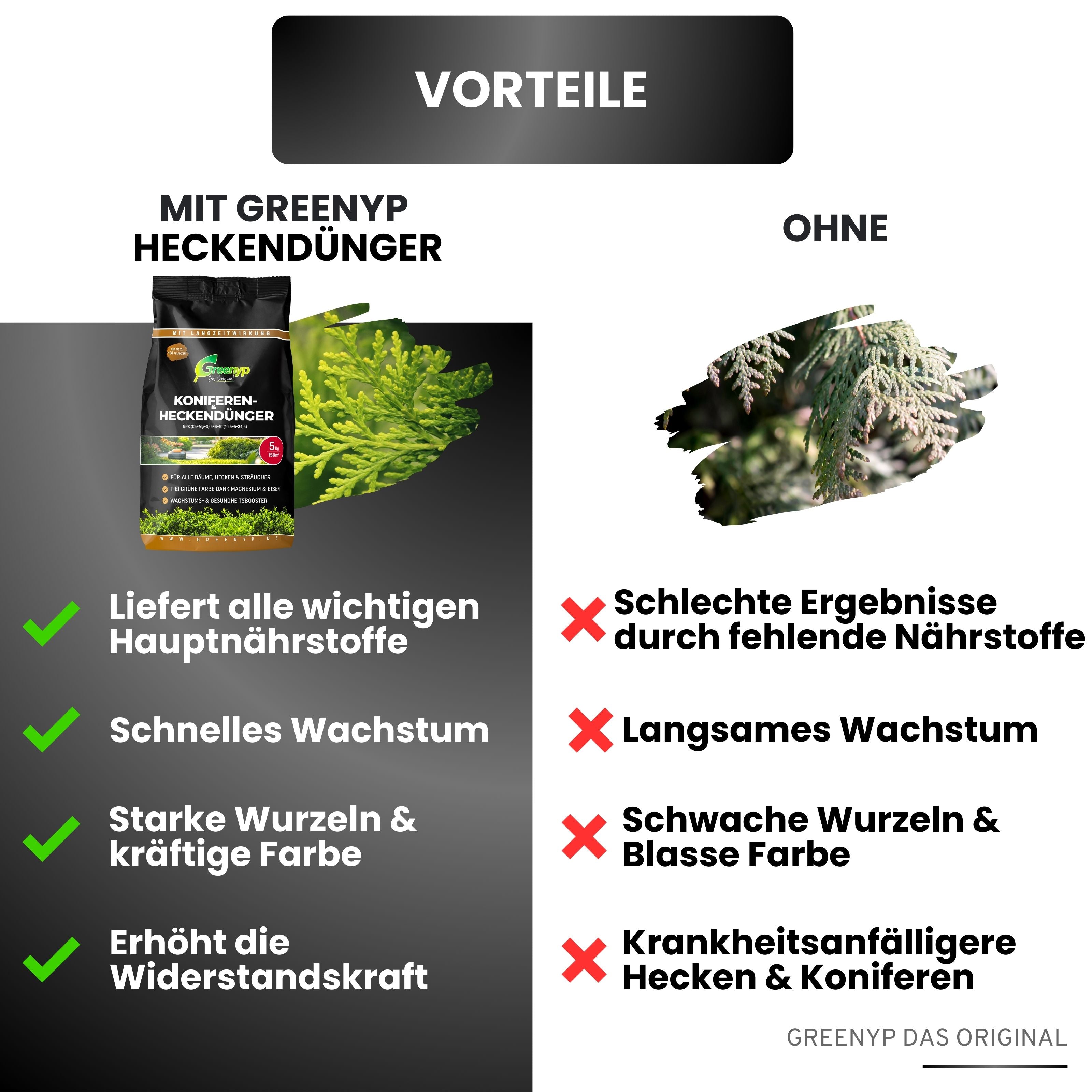 Koniferen- & Heckendünger