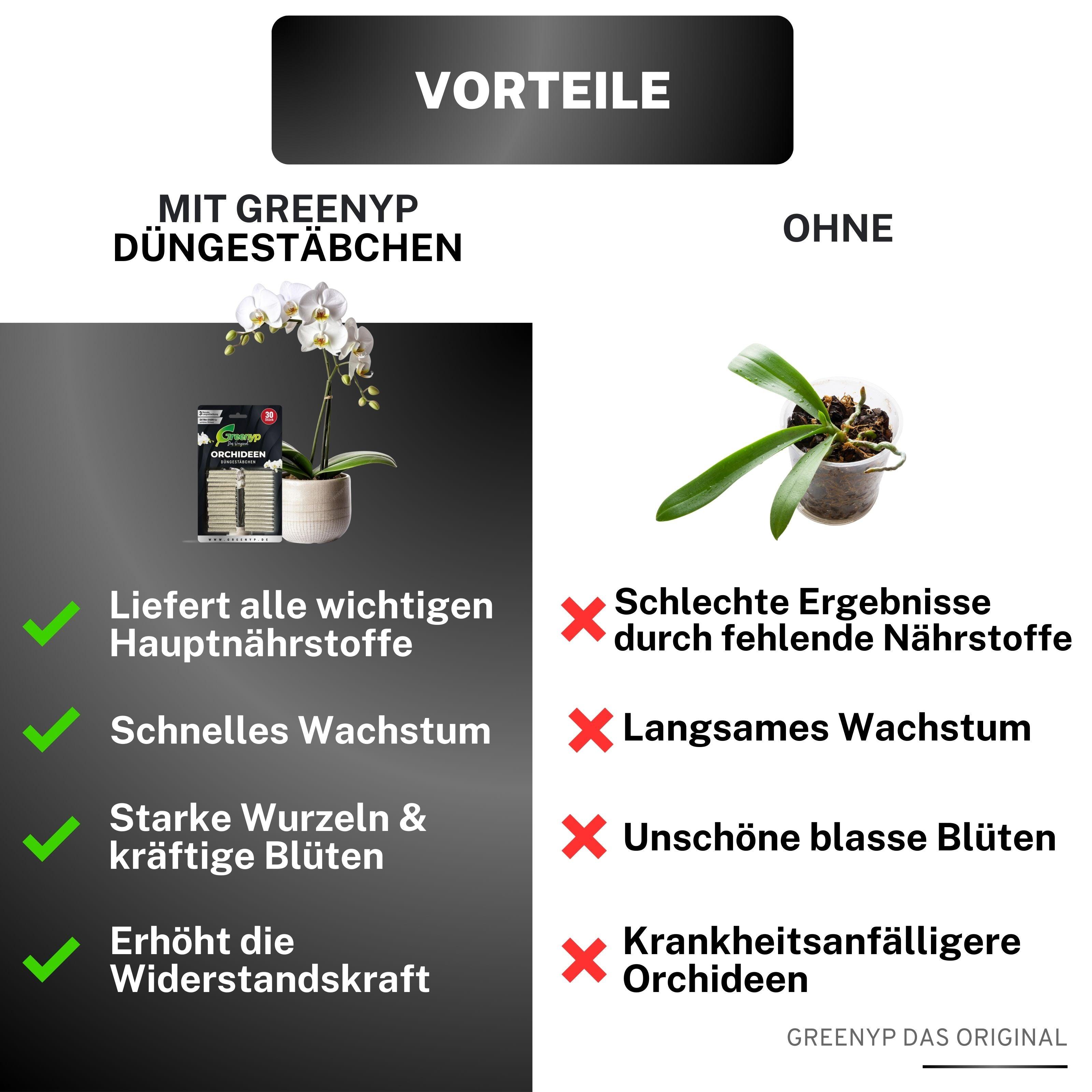 Orchideen Düngestäbchen