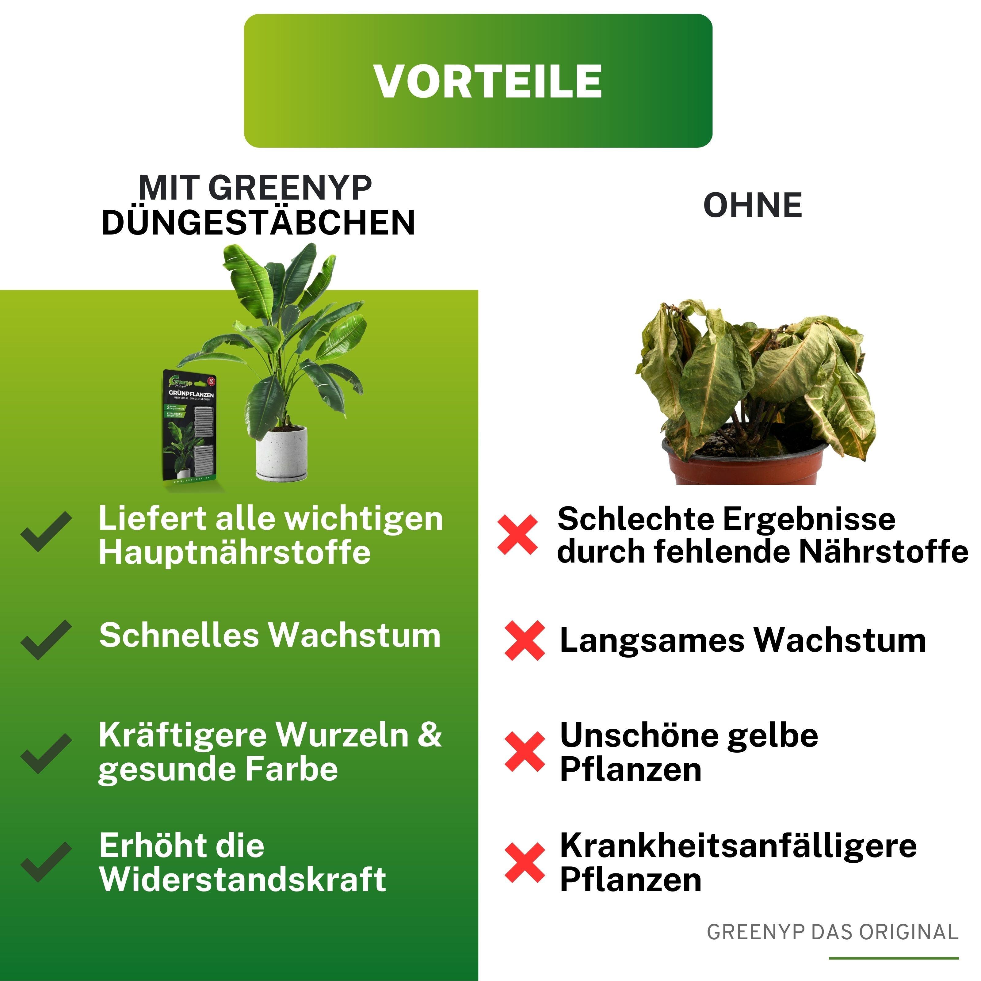 Grünpflanzen Düngestäbchen