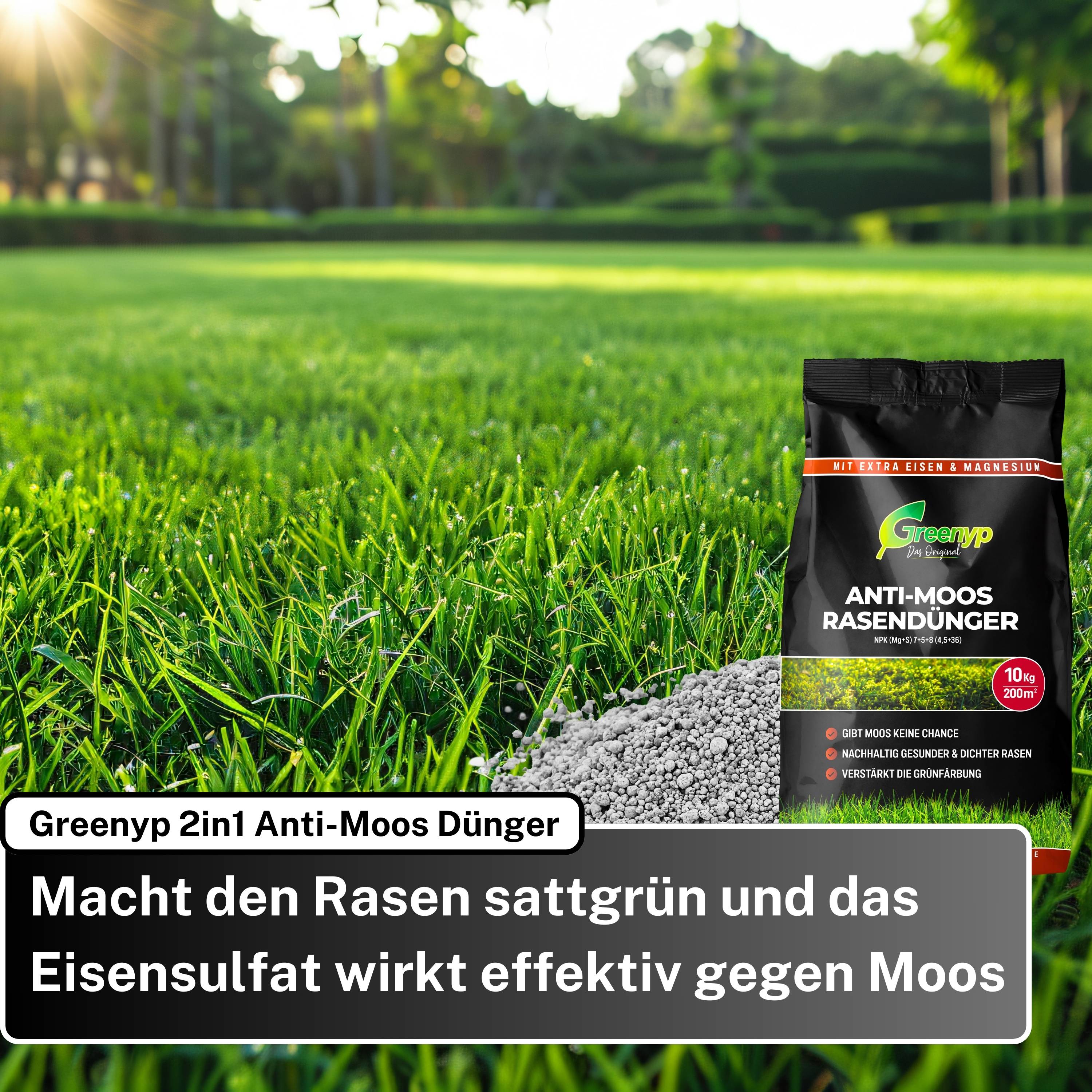 Anti-Moos Sparpaket