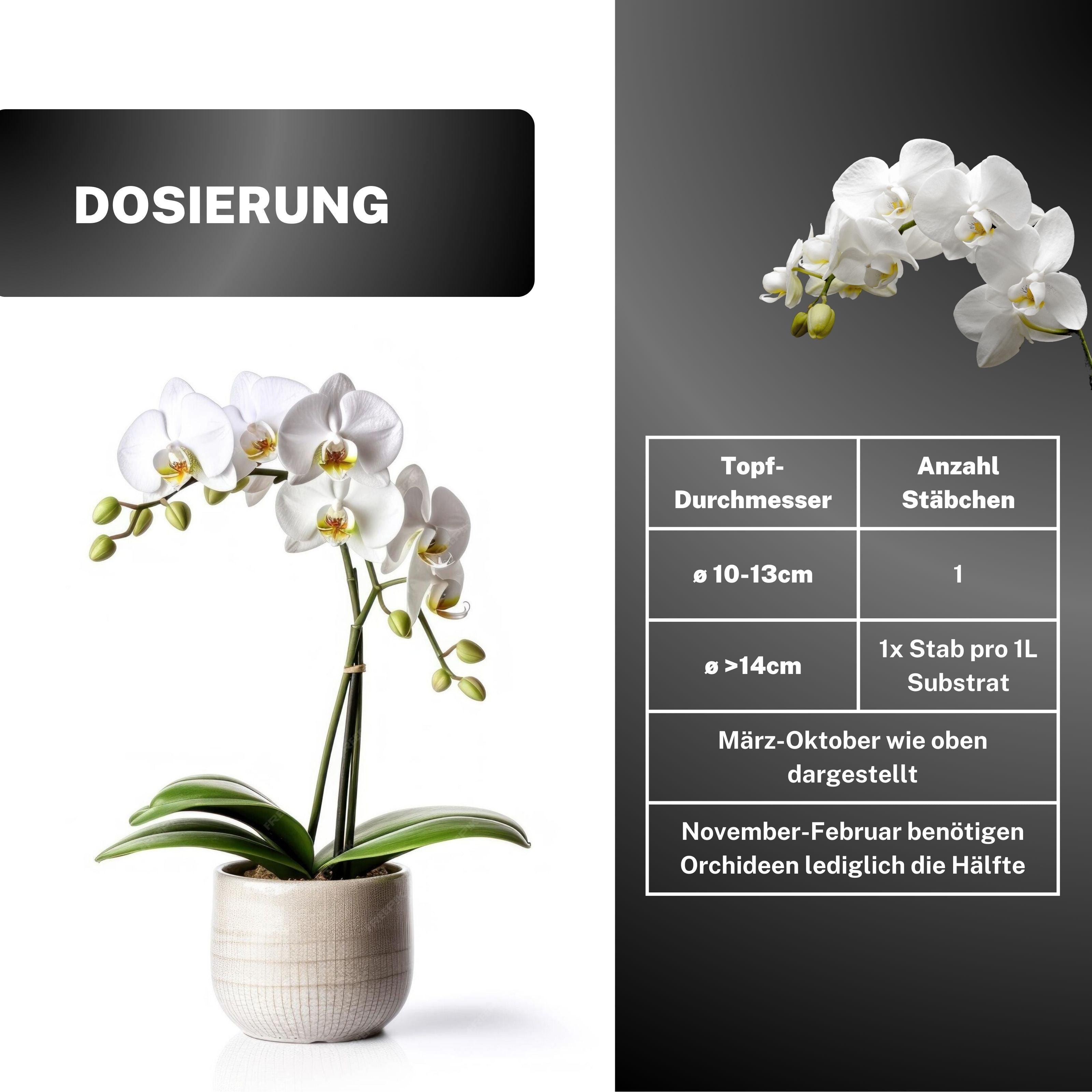 Orchideen Düngestäbchen