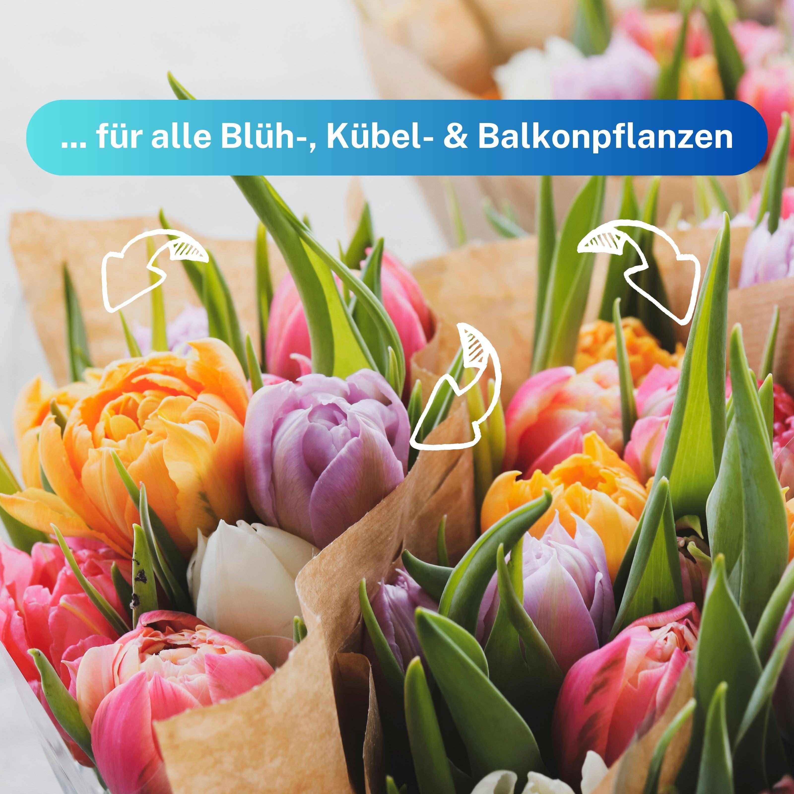 Blühpflanzen Düngestäbchen