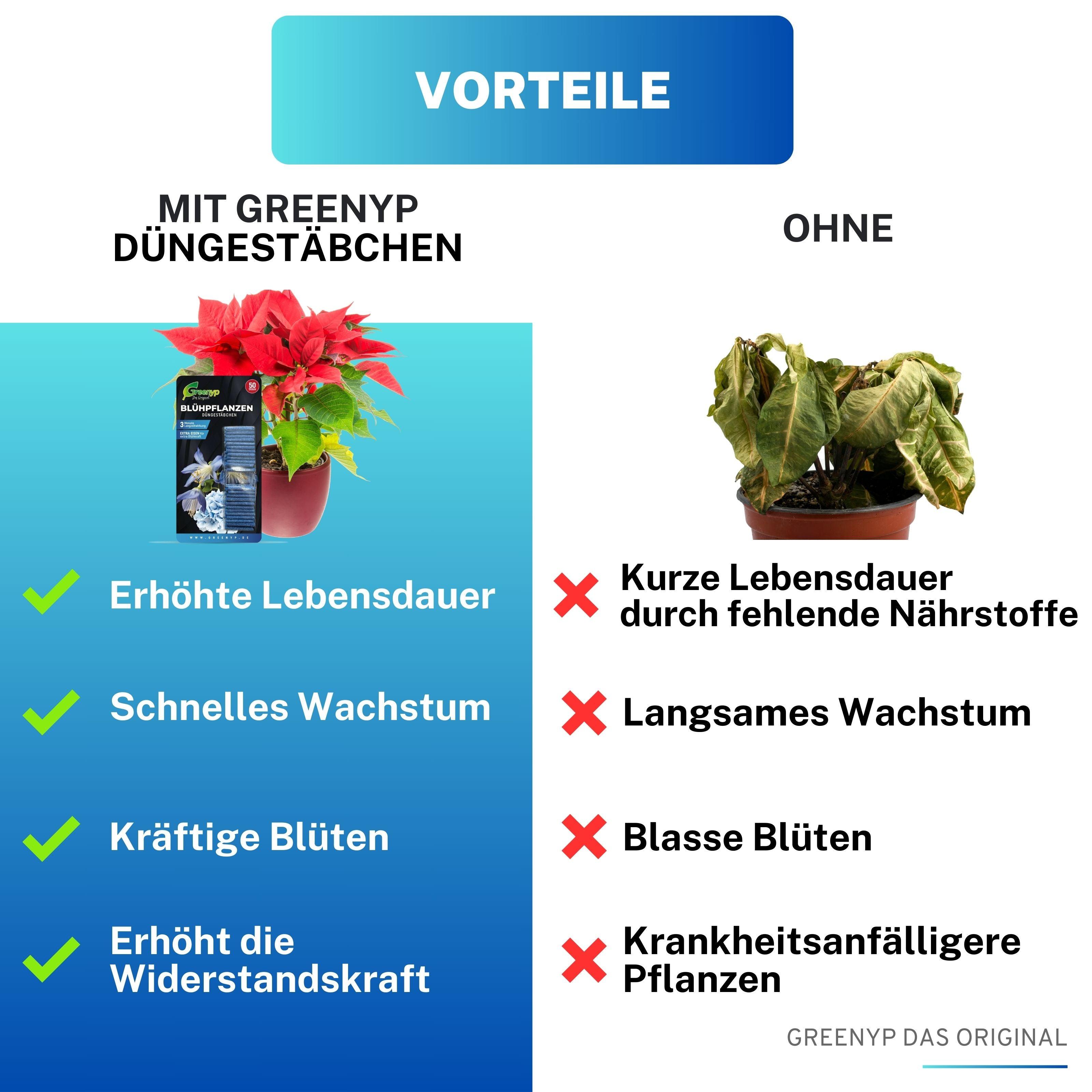 Blühpflanzen Düngestäbchen