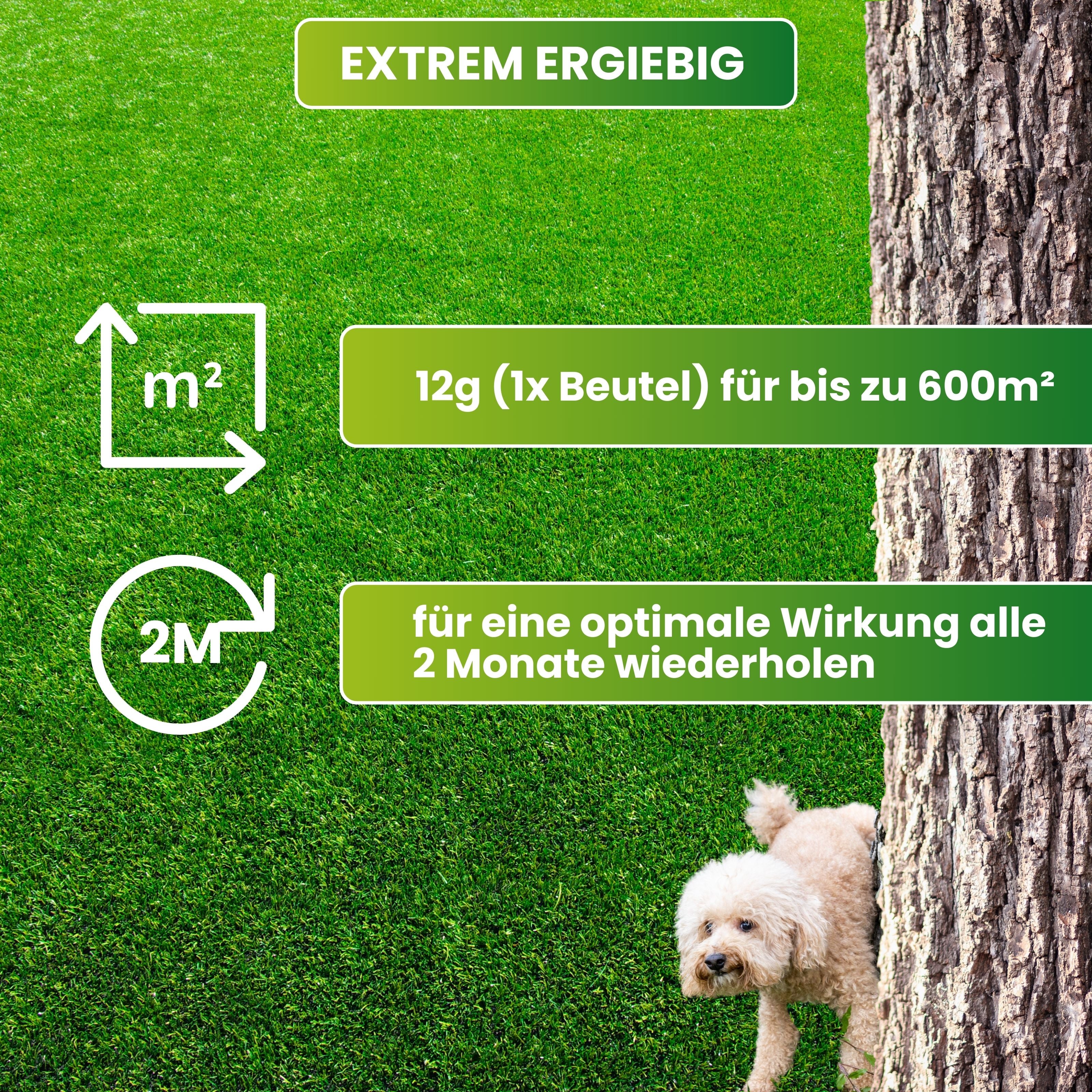 Effektive Mikroorganismen EM