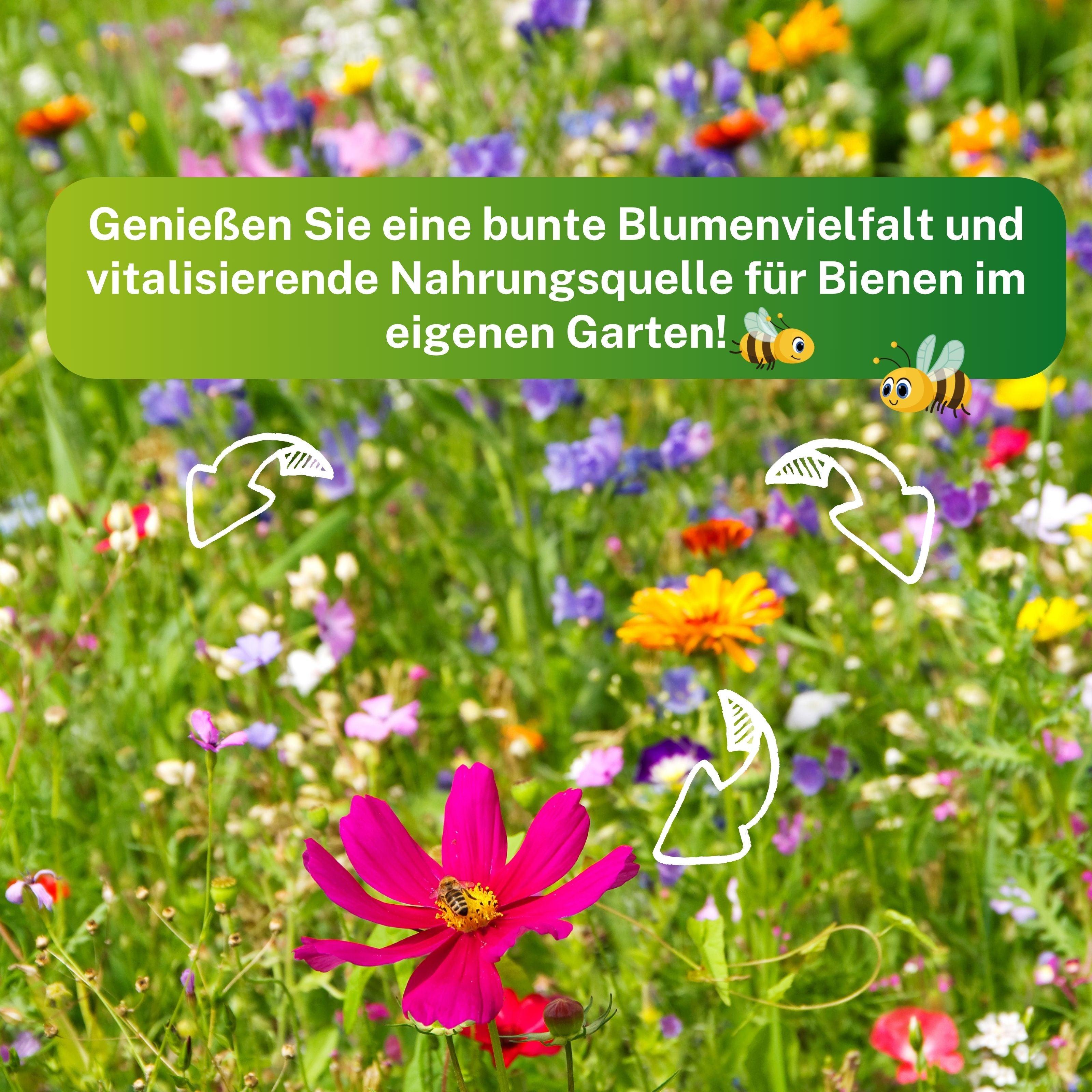 Bienenwiese