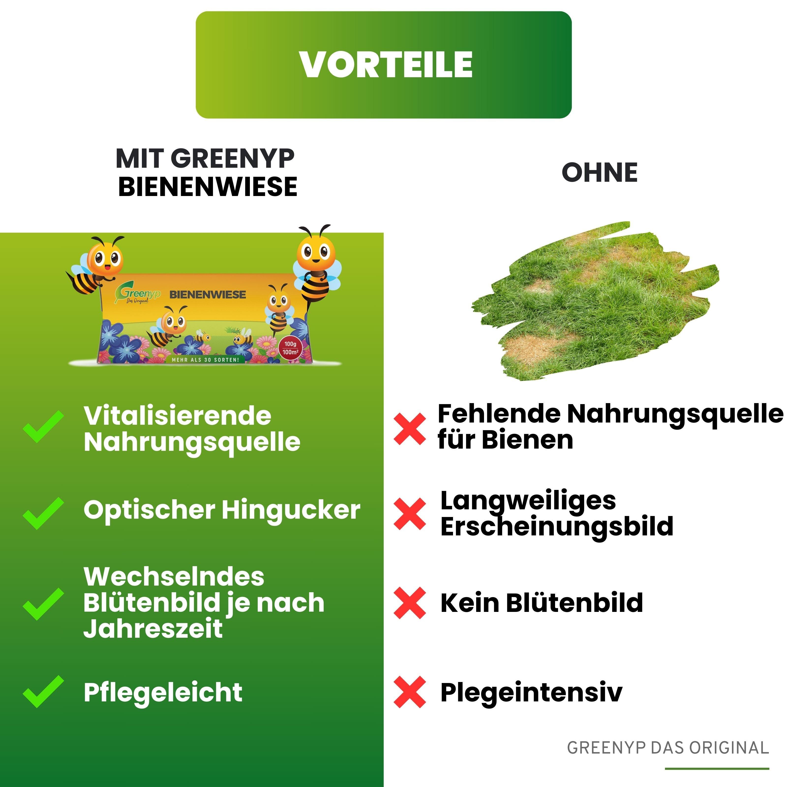 Bienenwiese