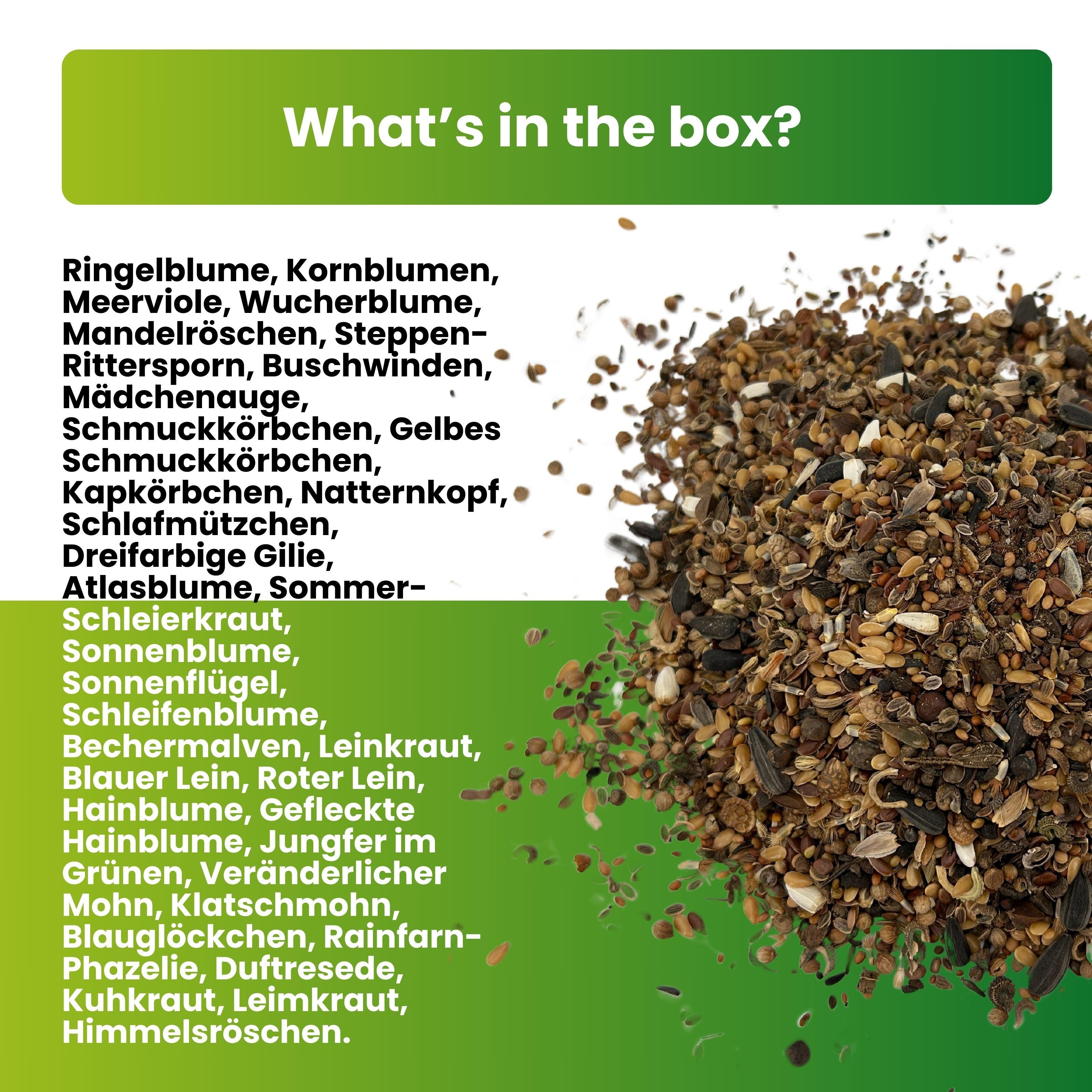 Bienenwiese