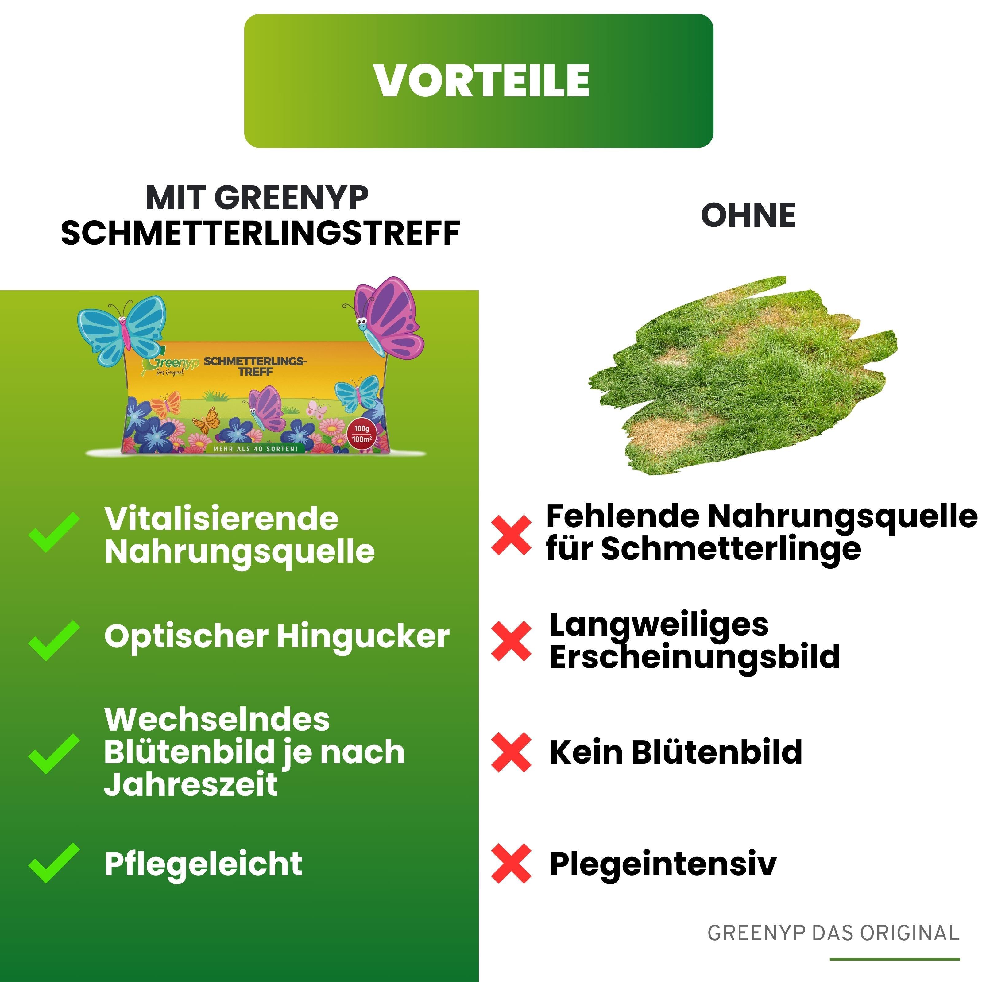 Schmetterlingstreff