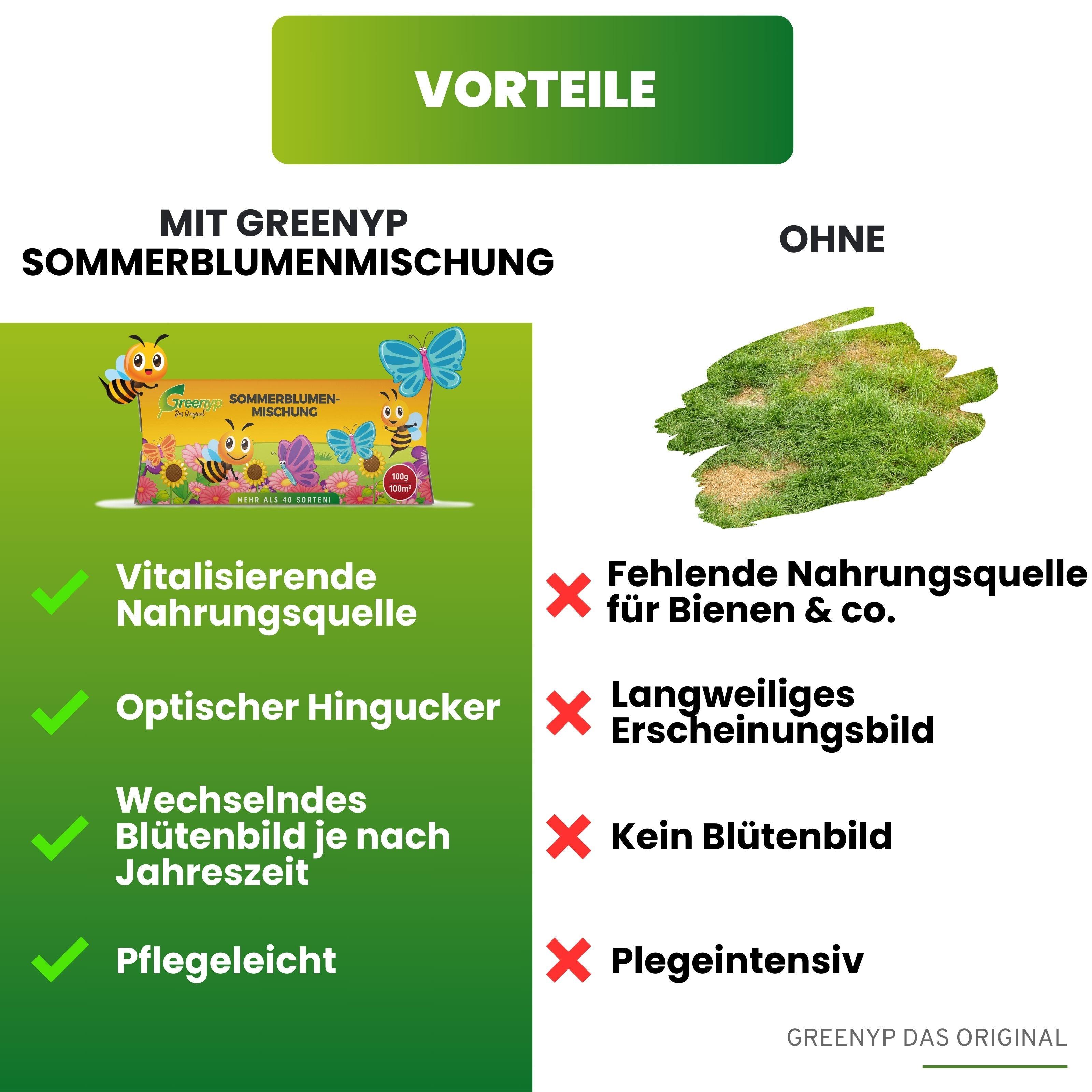 Sommer Blumenmischung
