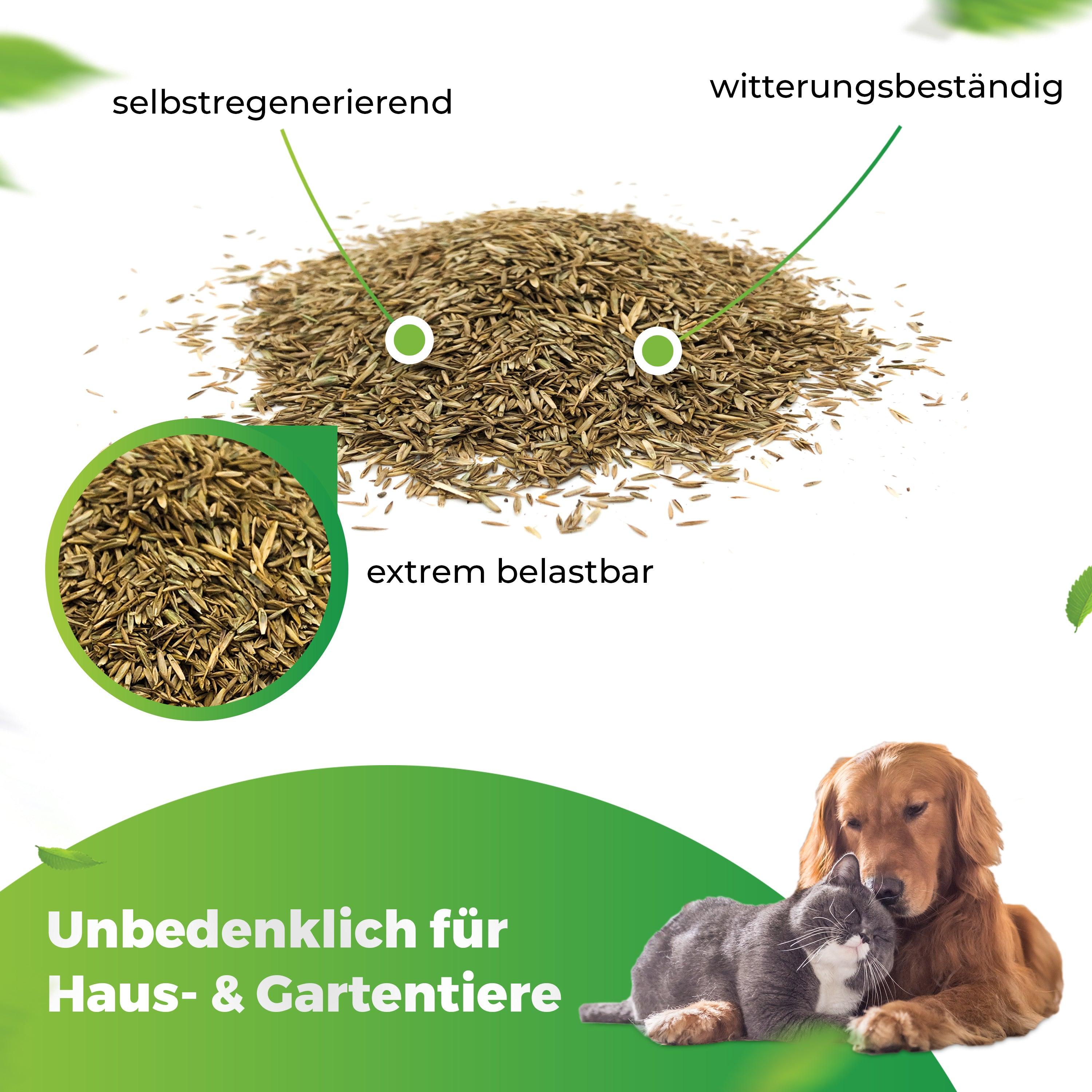 Sport- und Spielrasen
