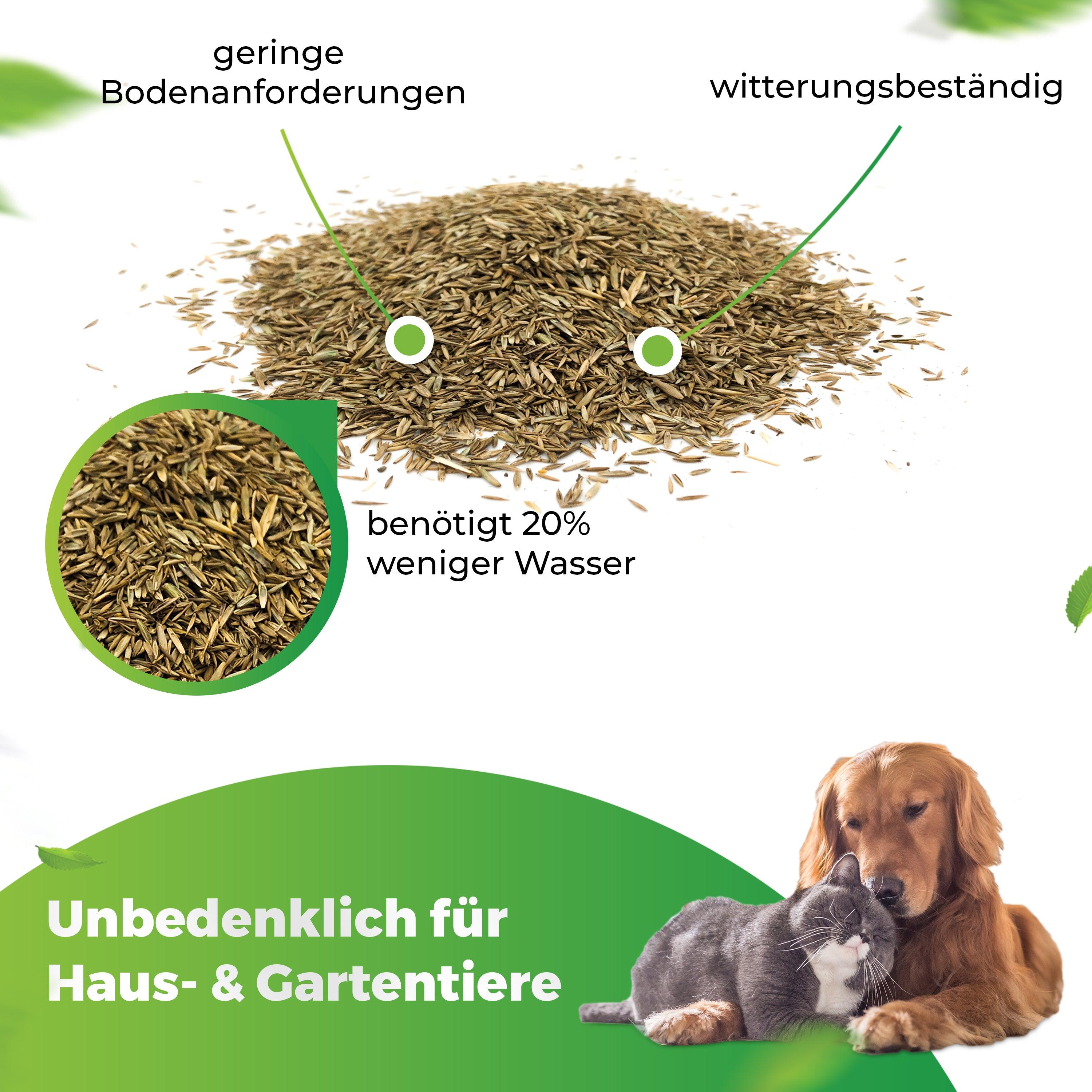 Trockenrasen