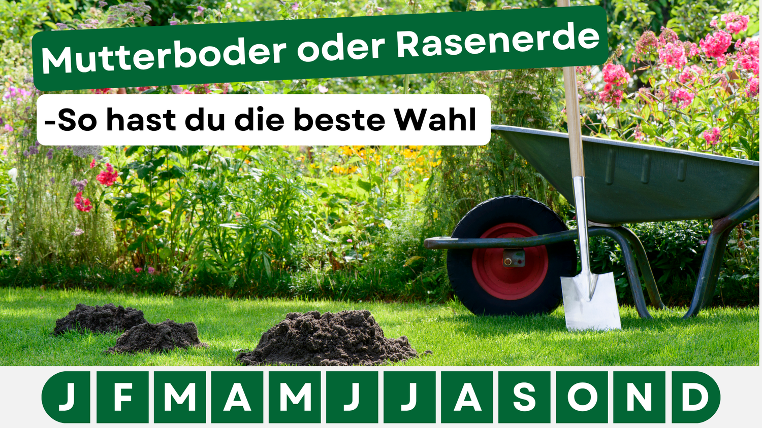 Mutterboden oder Rasenerde – was ist besser für einen schönen Rasen?