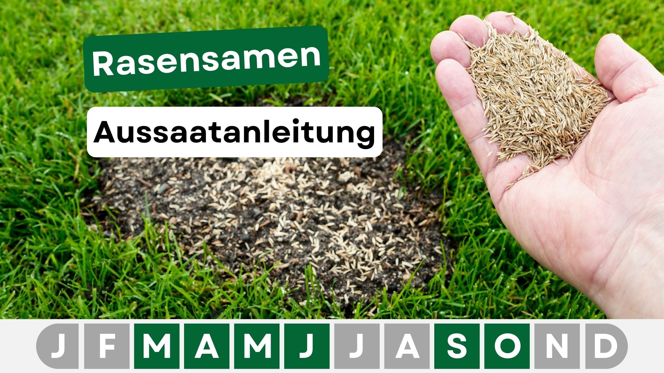 Rasensamen Anleitung
