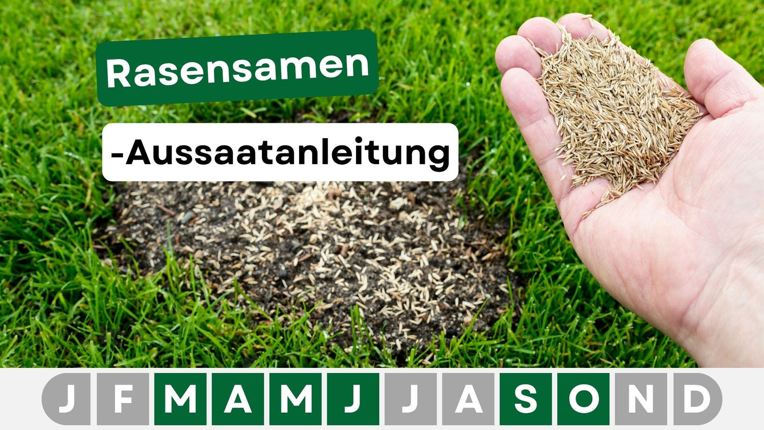 Rasensamen Anleitung
