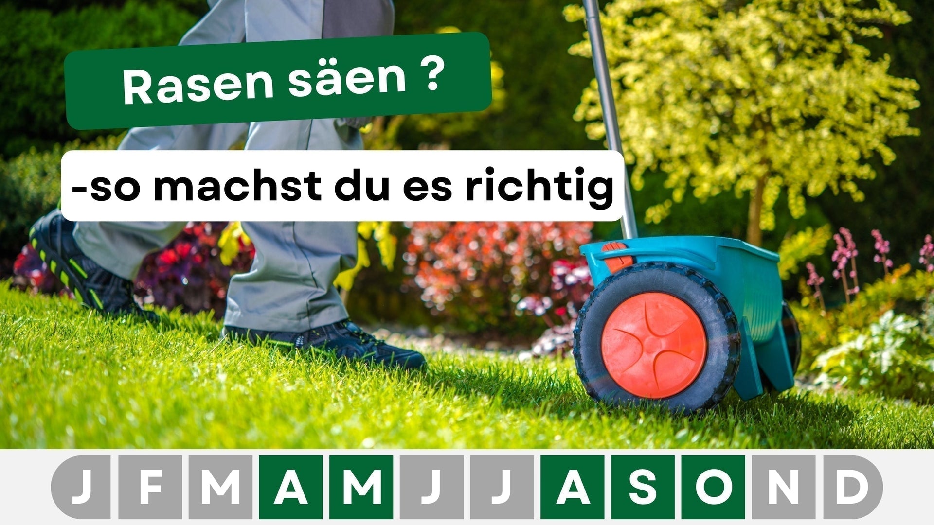 hecke thuja düngen Thuja Dünger flüssig 500ml Konzentrat