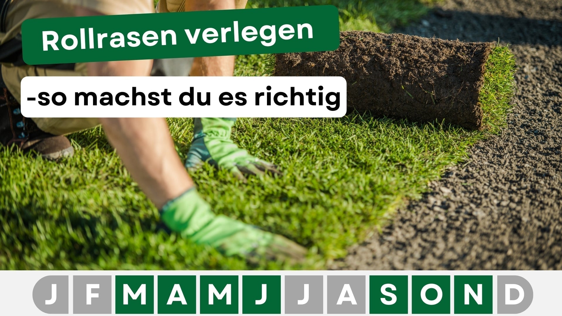 Rollrasen verlegen  Die ultimative Schritt-fr-Schritt-Anleitung