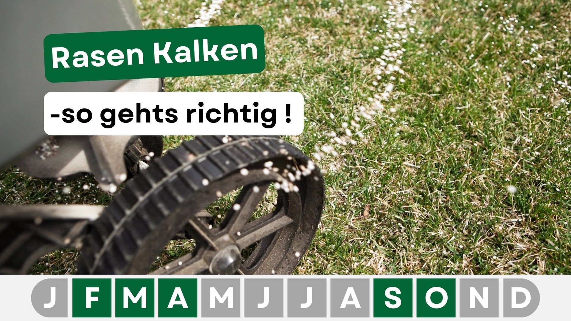 Rasen kalken: Warum es deinem Boden hilft und wann der beste Zeitpunkt