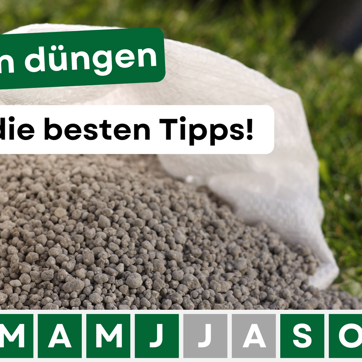koniferen mit bittersalz düngen Koniferen Dünger - Mineralischer NPK Flüssigdünger mit Stickstoff main image 0