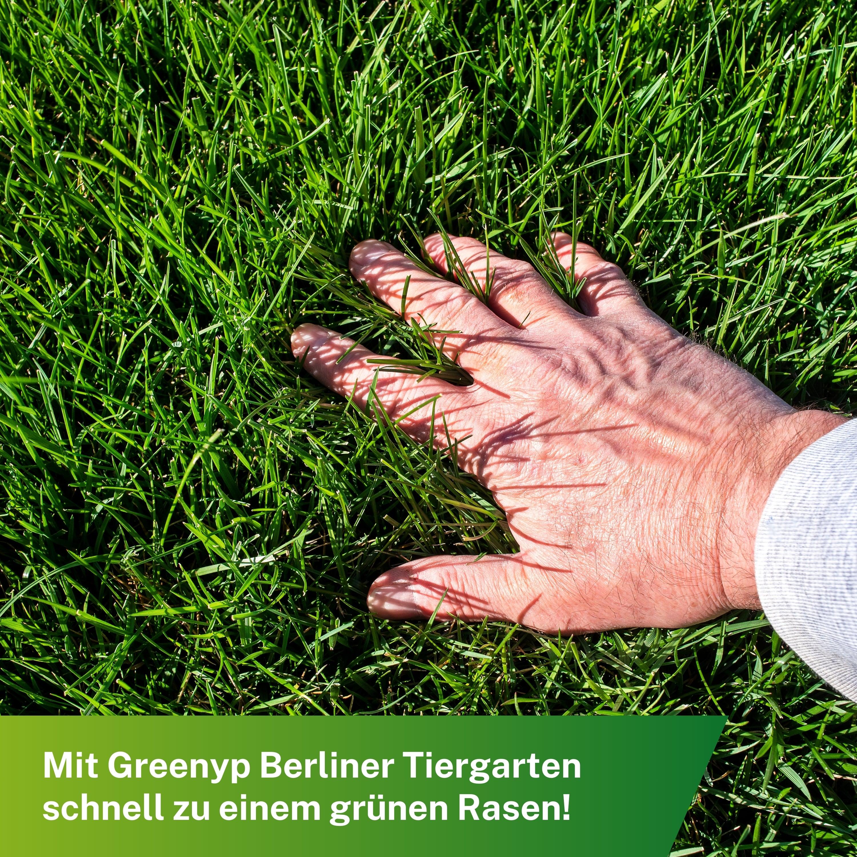 Berliner Tiergarten