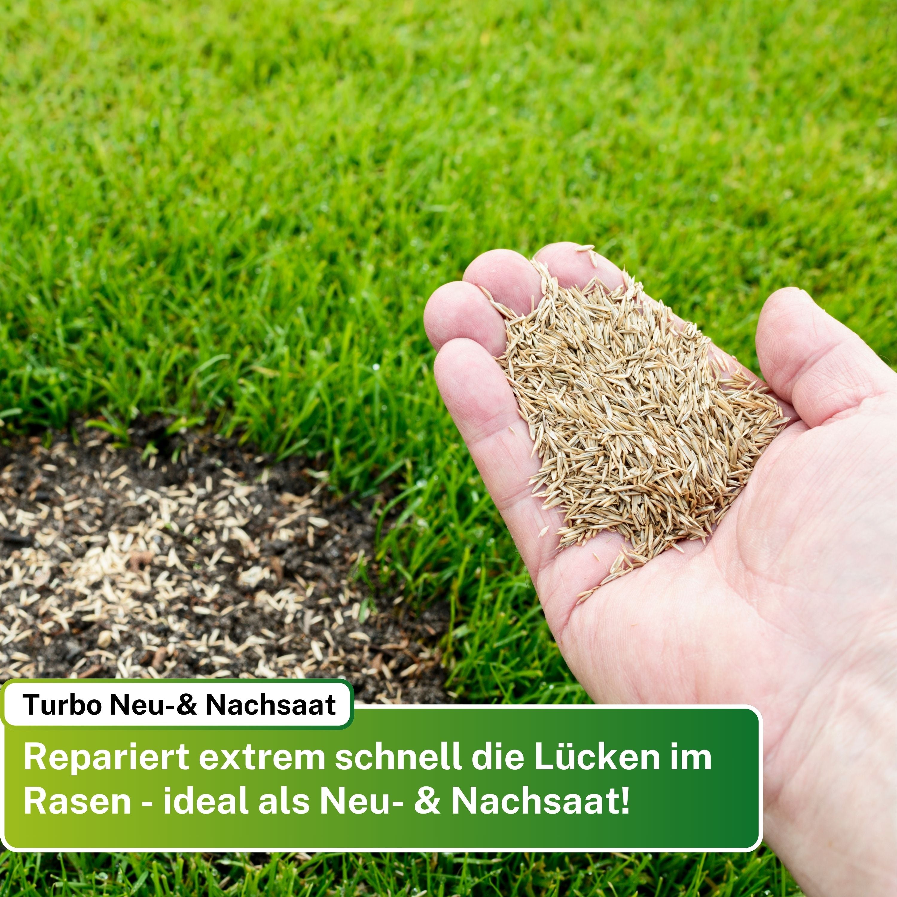 Turbo Nachsaat RSM 3.2