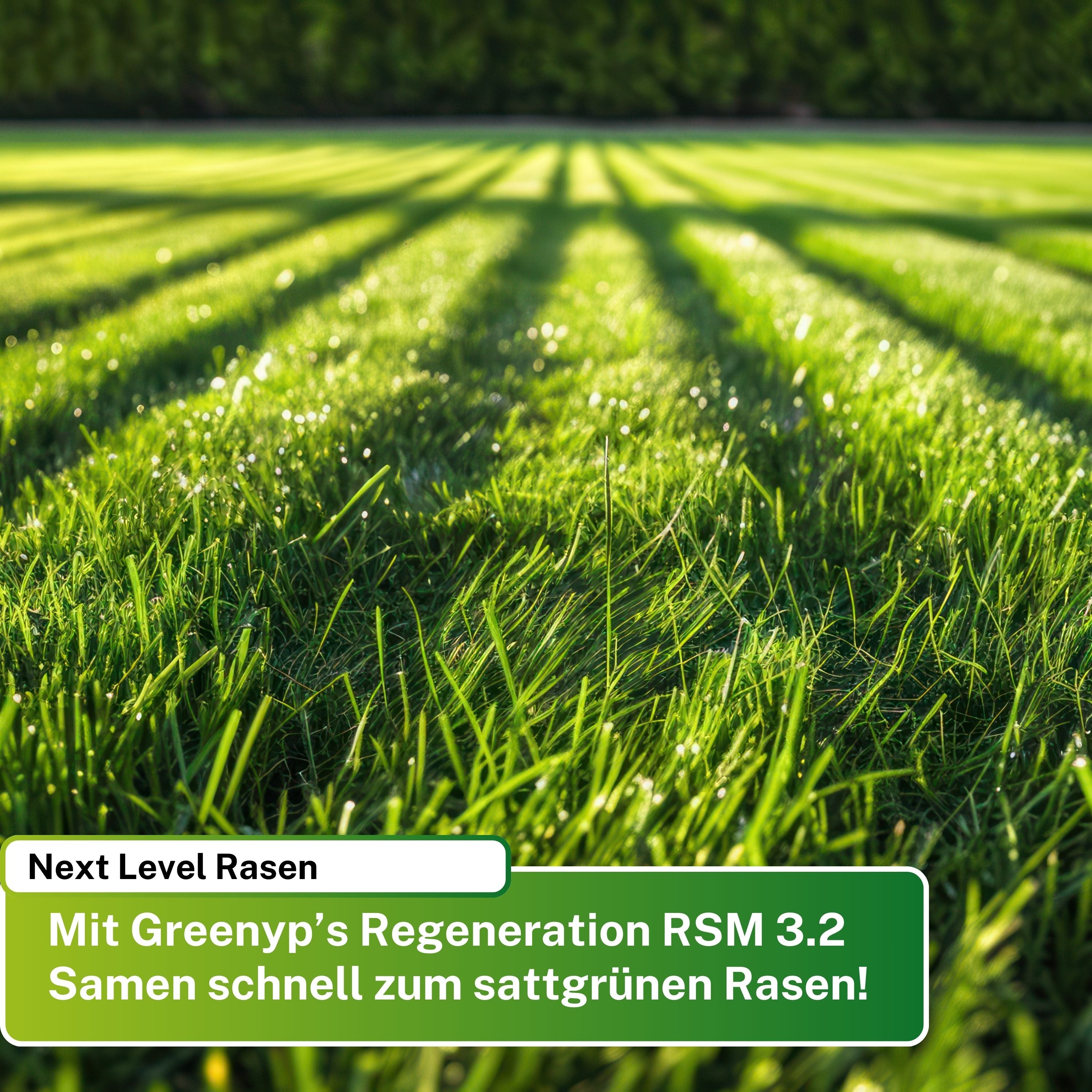 Turbo Nachsaat RSM 3.2