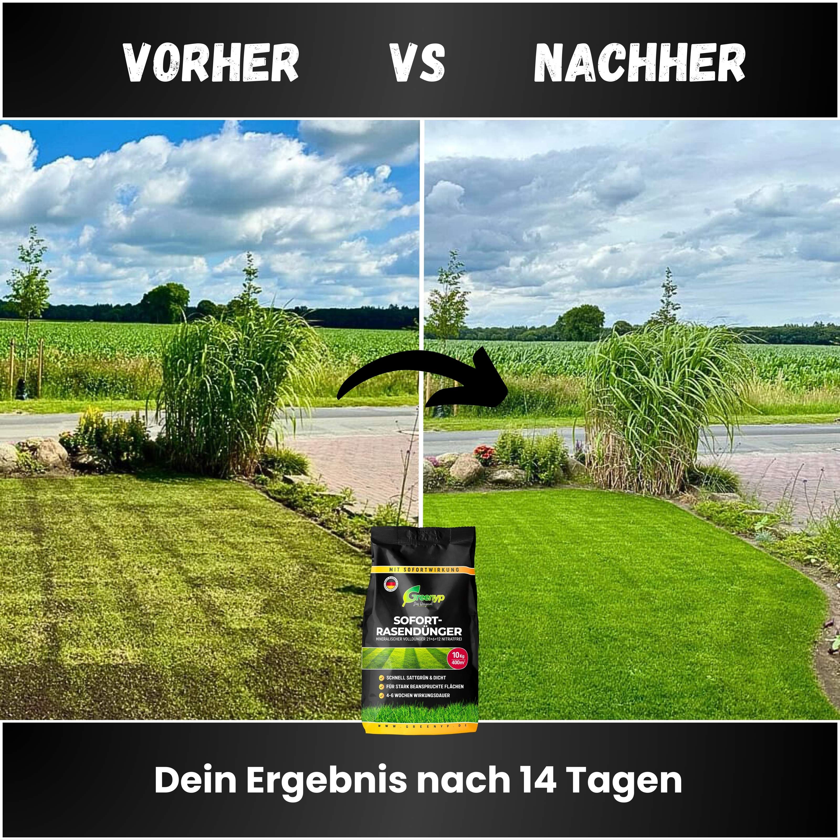 Sofort Rasendünger