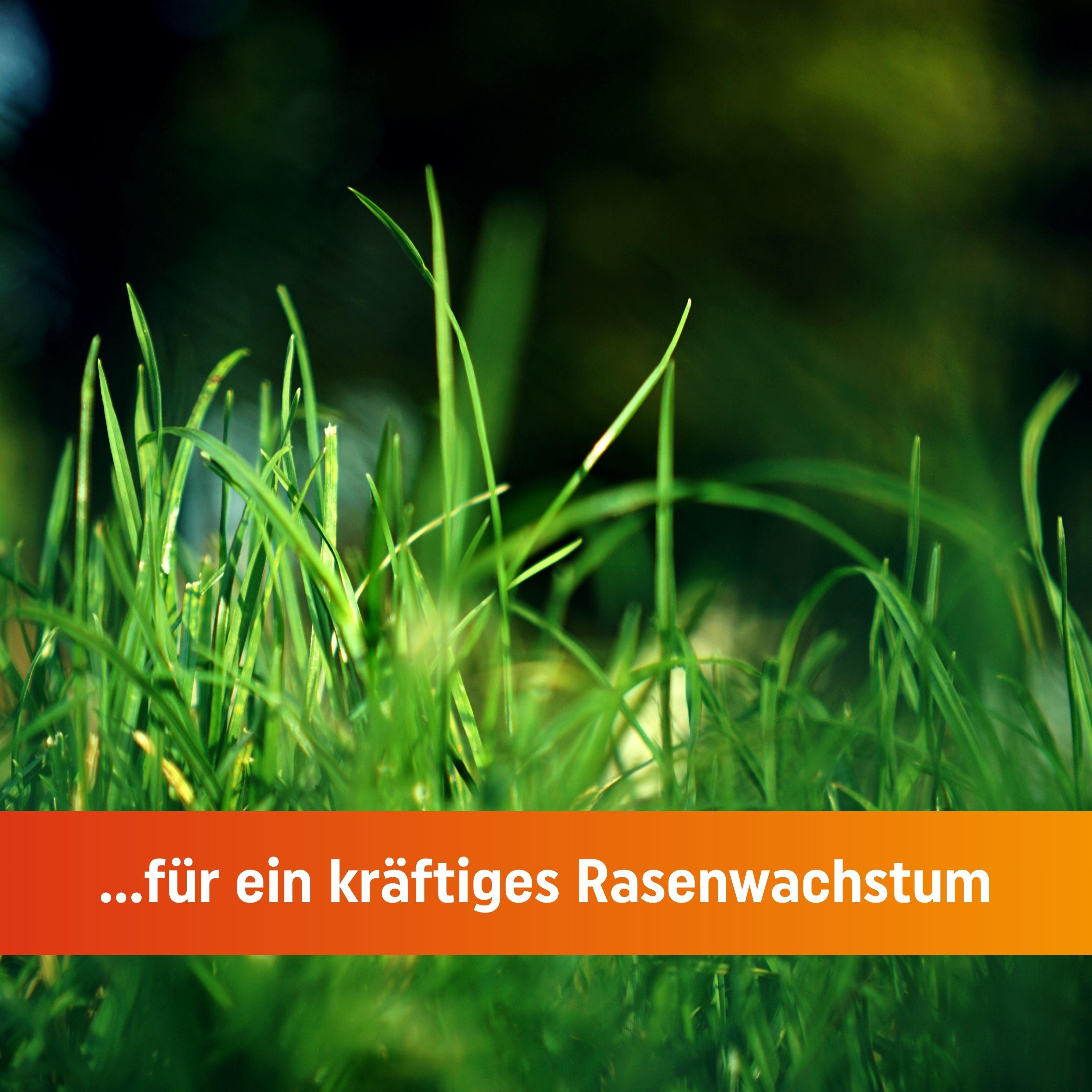 Bio Rasendünger mit Langzeitwirkung für Frühjahr bis Spätsommer