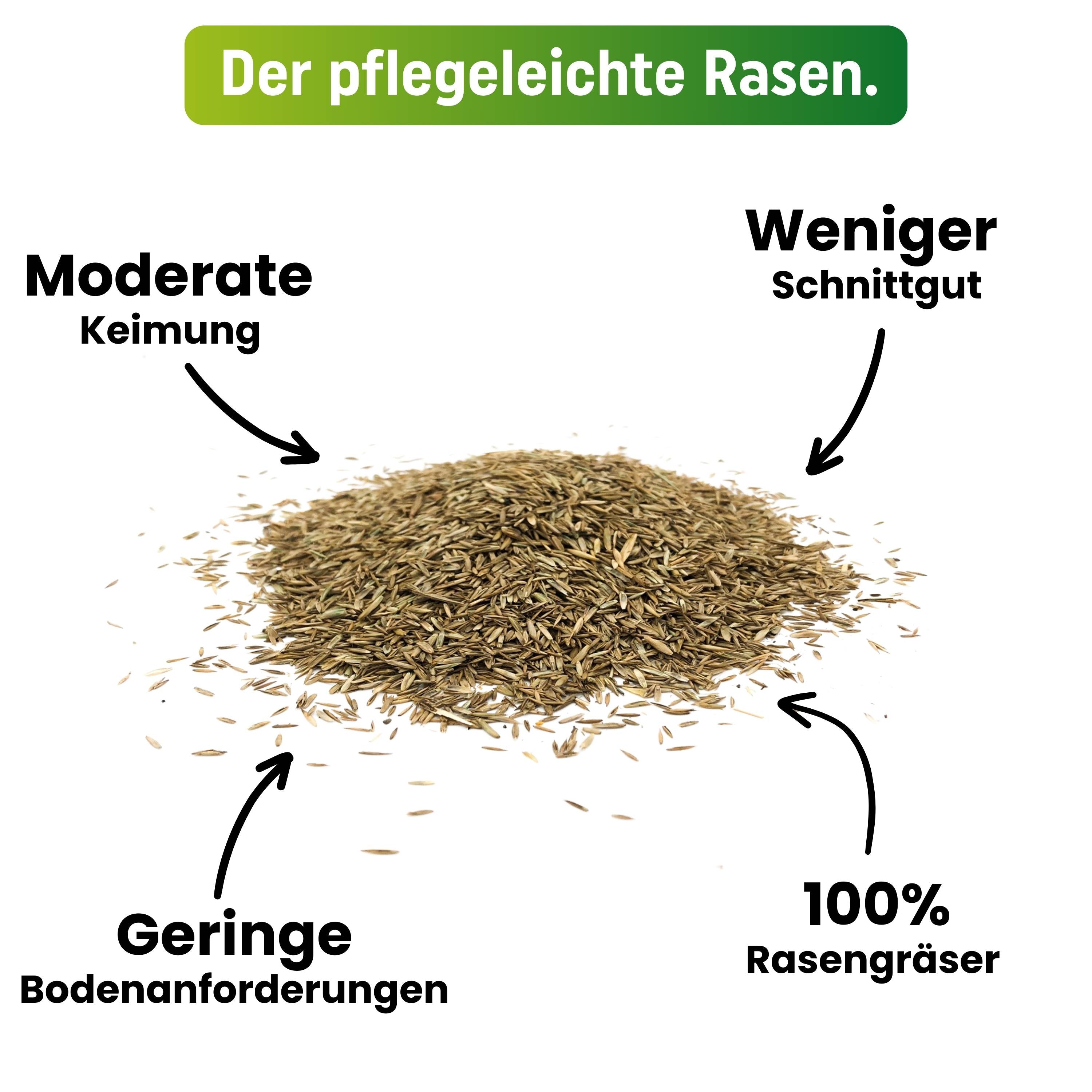 Zierrasen