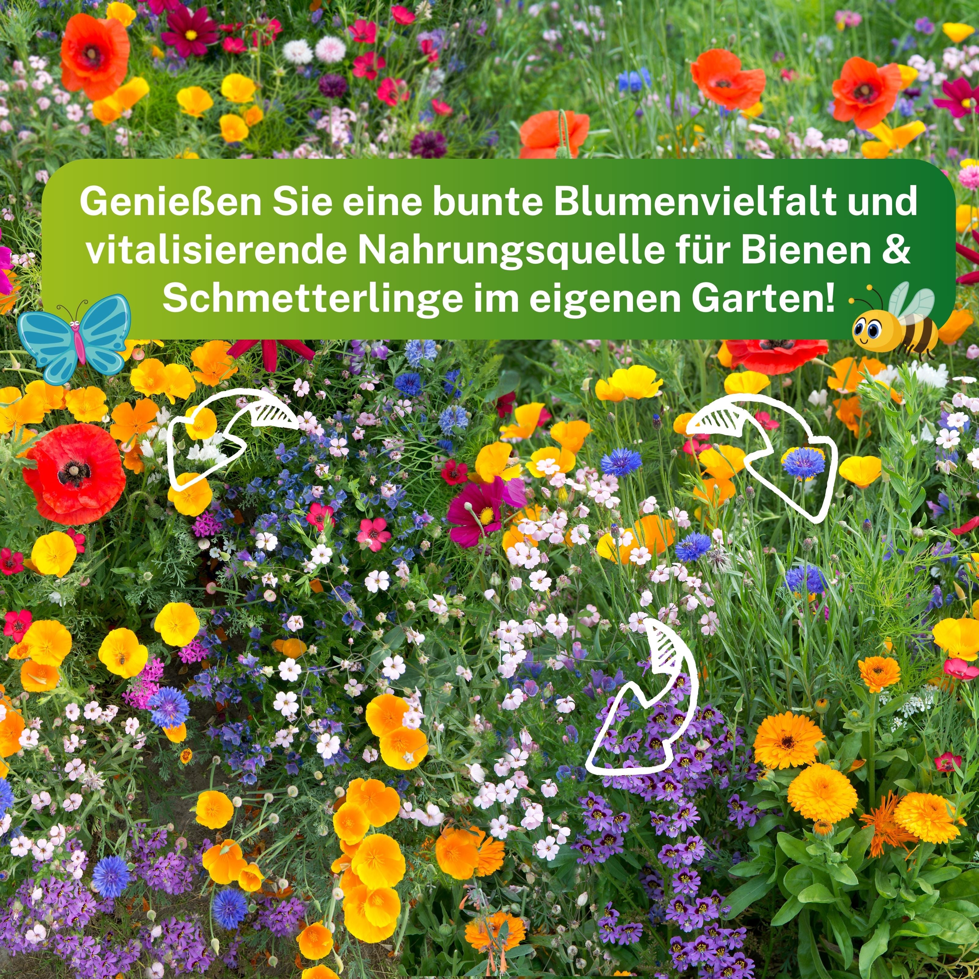 Sommerblumenmischung - farbenfrohe Blumenmischung für Bienen & Schmetterlinge