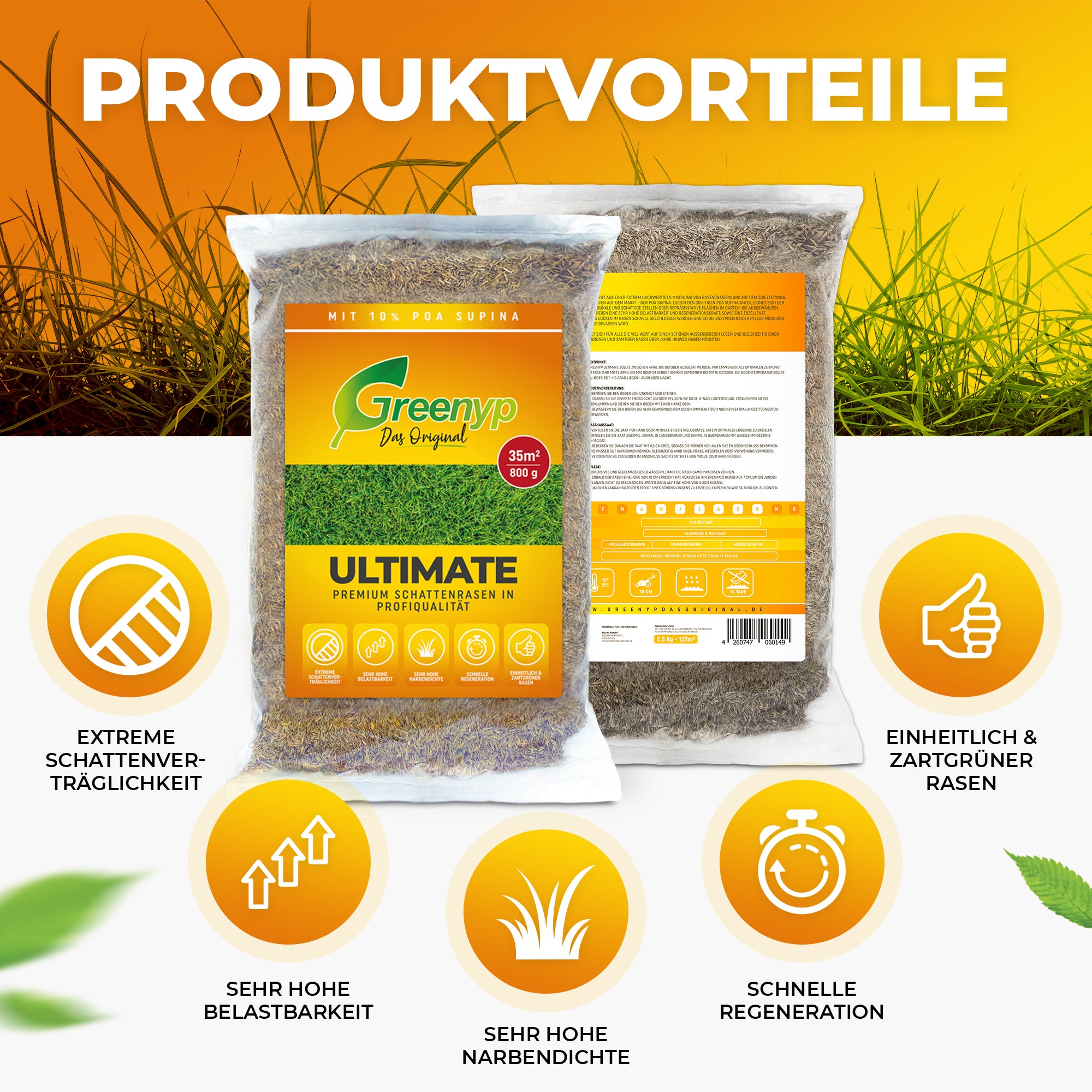 Ultimate Rasen - Premium Schattenrasen mit 10% Poa Supina